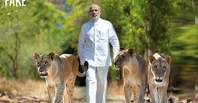 फोटोफ्रेममध्ये अडकलेलं सरकार