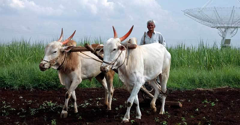 सगळं सगळं उट्टं फिटू दे… बळीचं राज्य येऊ दे.